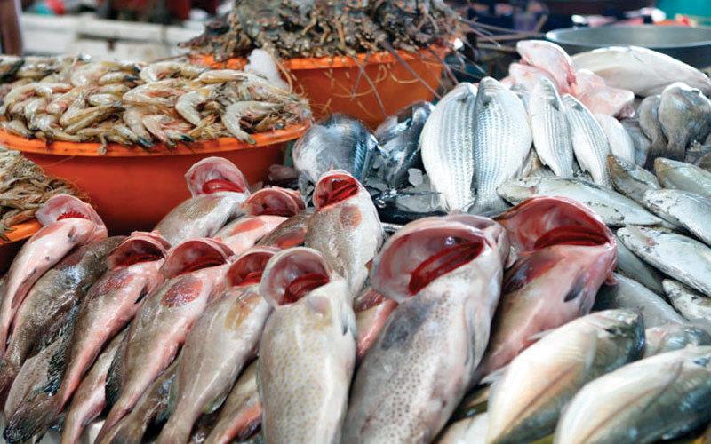 قفزة صاروخية بأسعار الأسماك مع بداية رمضان