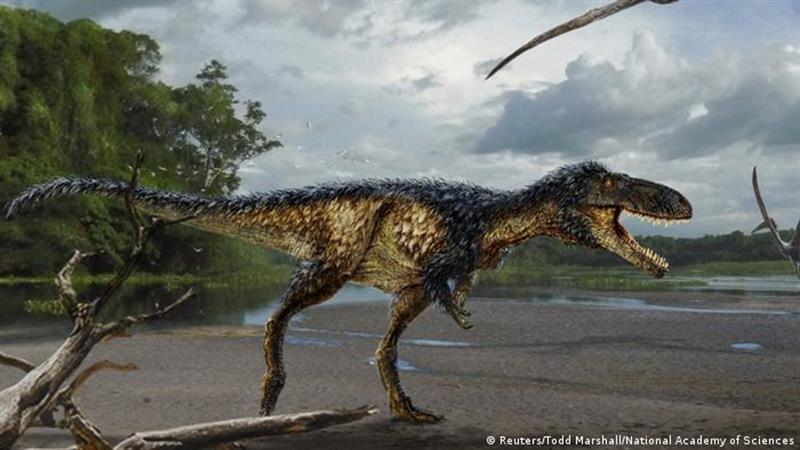 لأول مرة.. العثور على ديناصور نفق يوم سقوط الكويكب